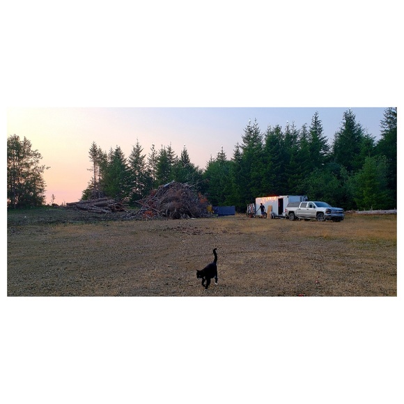 WELCOME 🧚♀️ - Picture 6 of 8